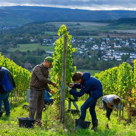 Turmstube Maring-Noviand